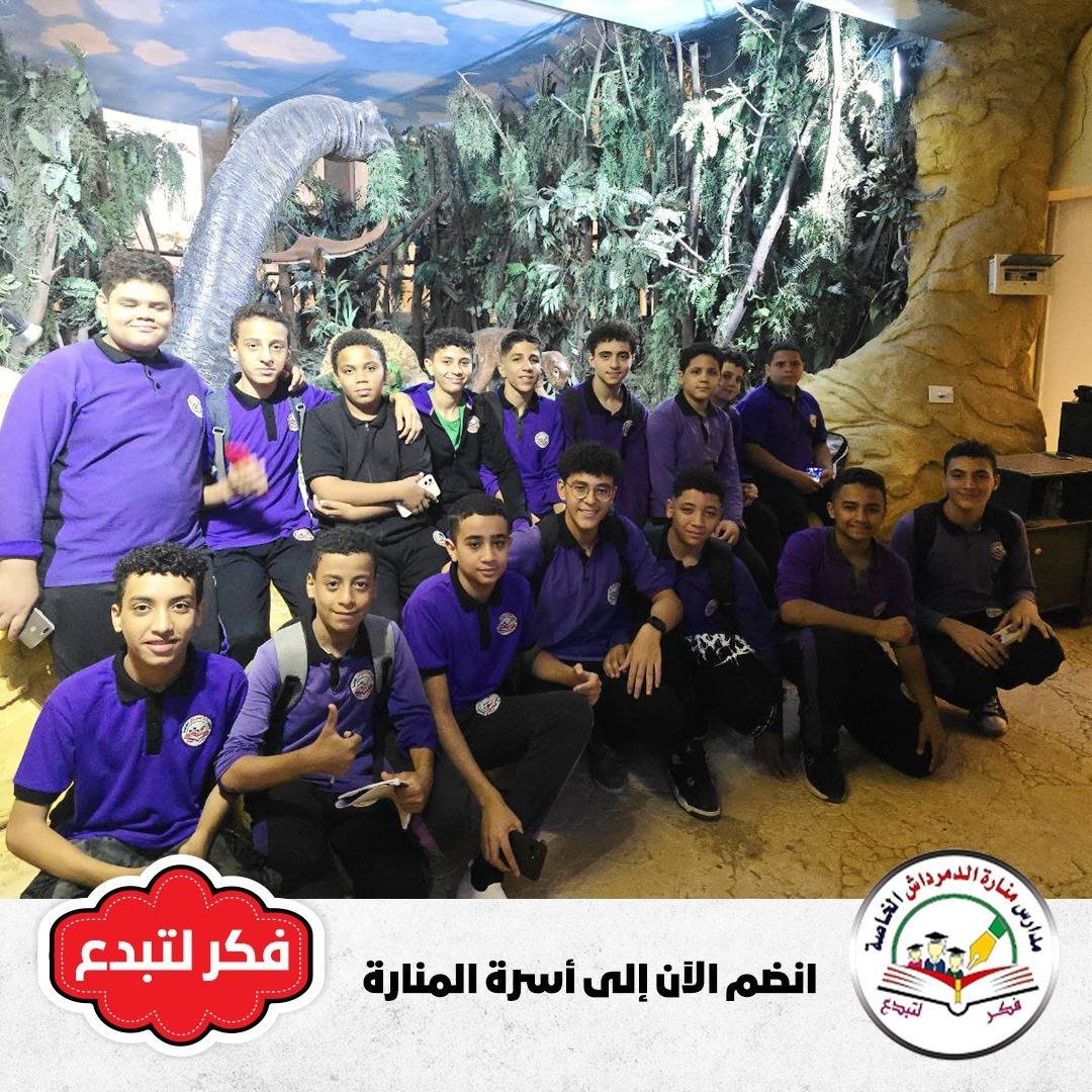 صورة النشاط